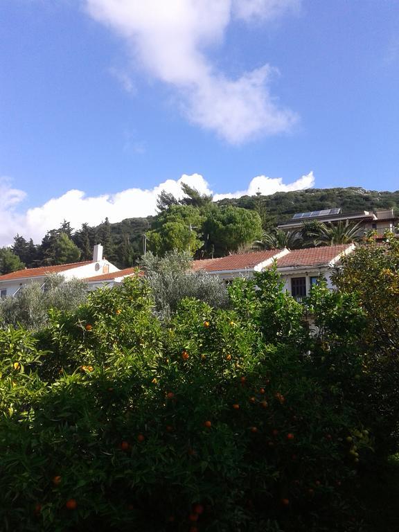 Aggelos Kefalonia Lassi Lassi  Dış mekan fotoğraf